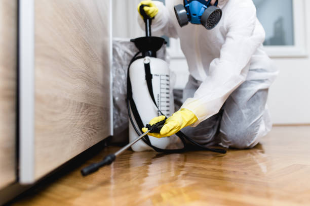 Best Pest Control Near Me in Edinburg, TX