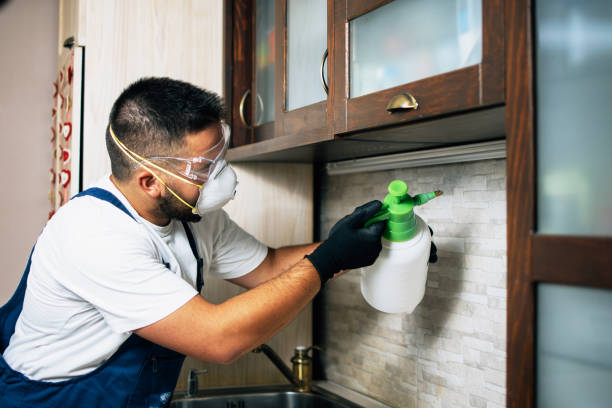 Best Pest Inspection Near Me  in Edinburg, TX