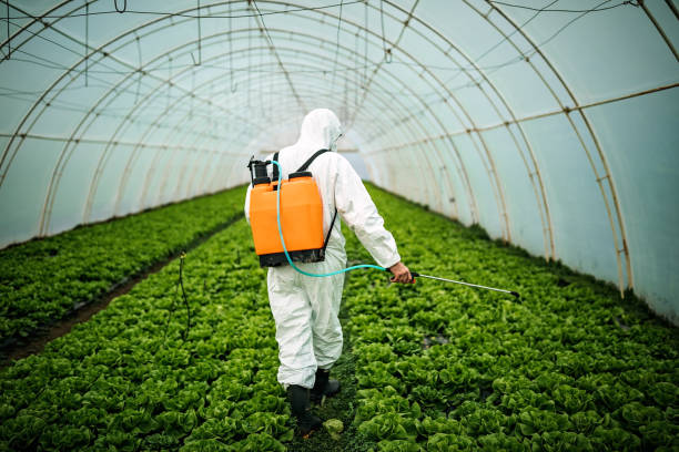 Best Commercial Pest Control Services  in Edinburg, TX