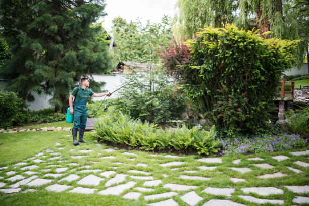 Best Affordable Pest Control Services  in Edinburg, TX