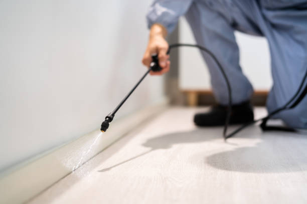 Professional Pest Control in Edinburg, TX
