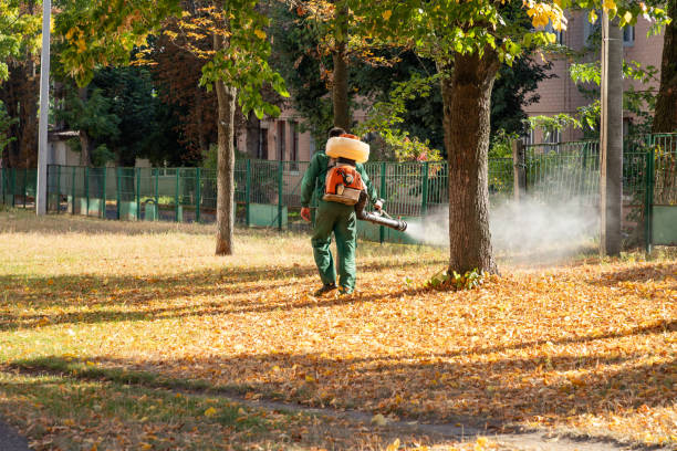 Best Wildlife Control Services  in Edinburg, TX