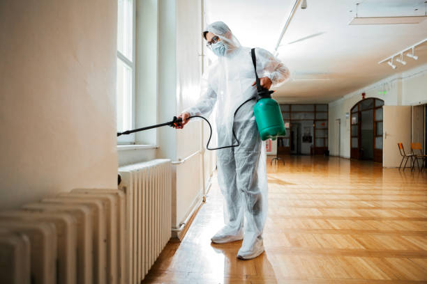 Reliable Edinburg, TX Pest Control Solutions