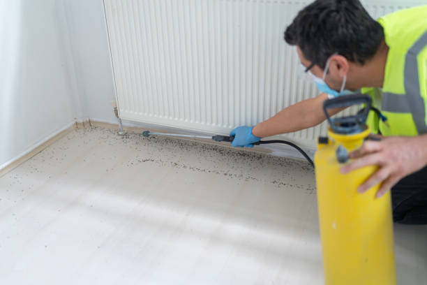 Best Pest Control Near Me  in Edinburg, TX