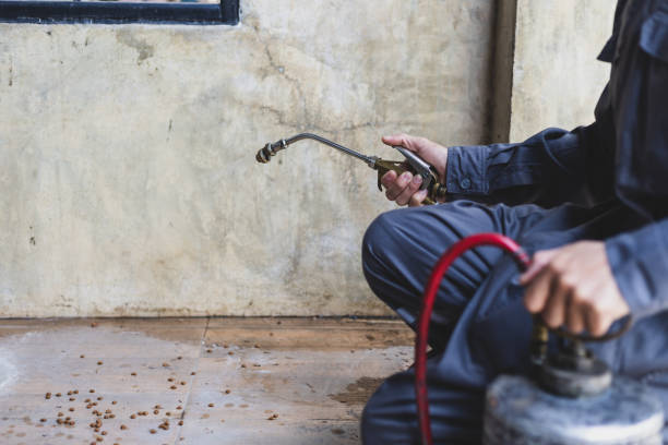Best Wasp Removal Services  in Edinburg, TX